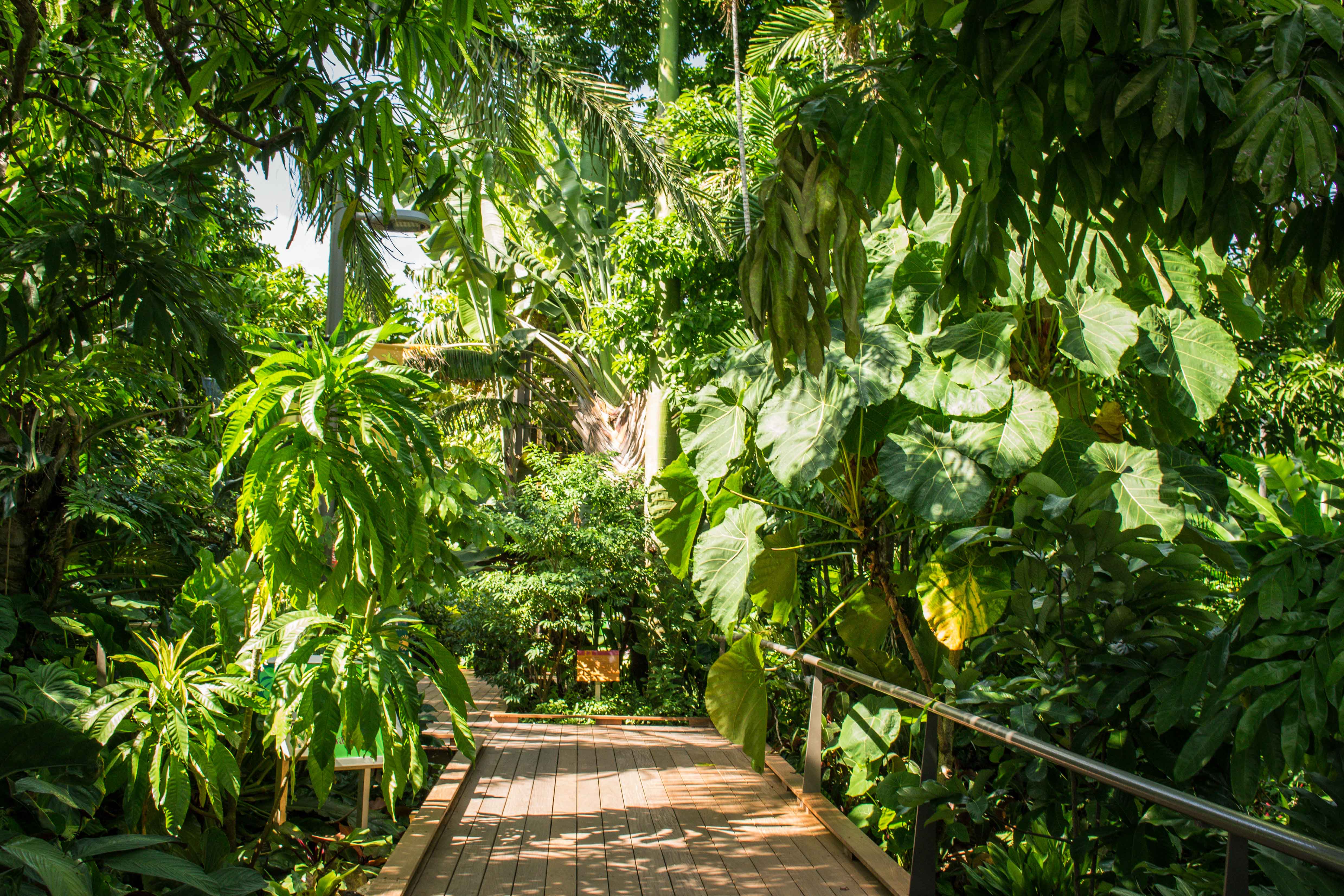 Eleanor and Nicholas Chabraja Visitor Center | Naples Botanical Garden