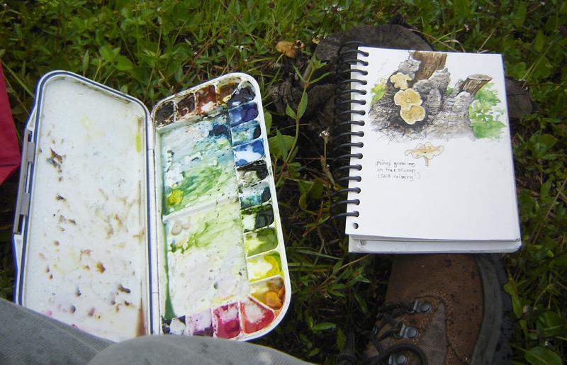 A Nature Art Journal