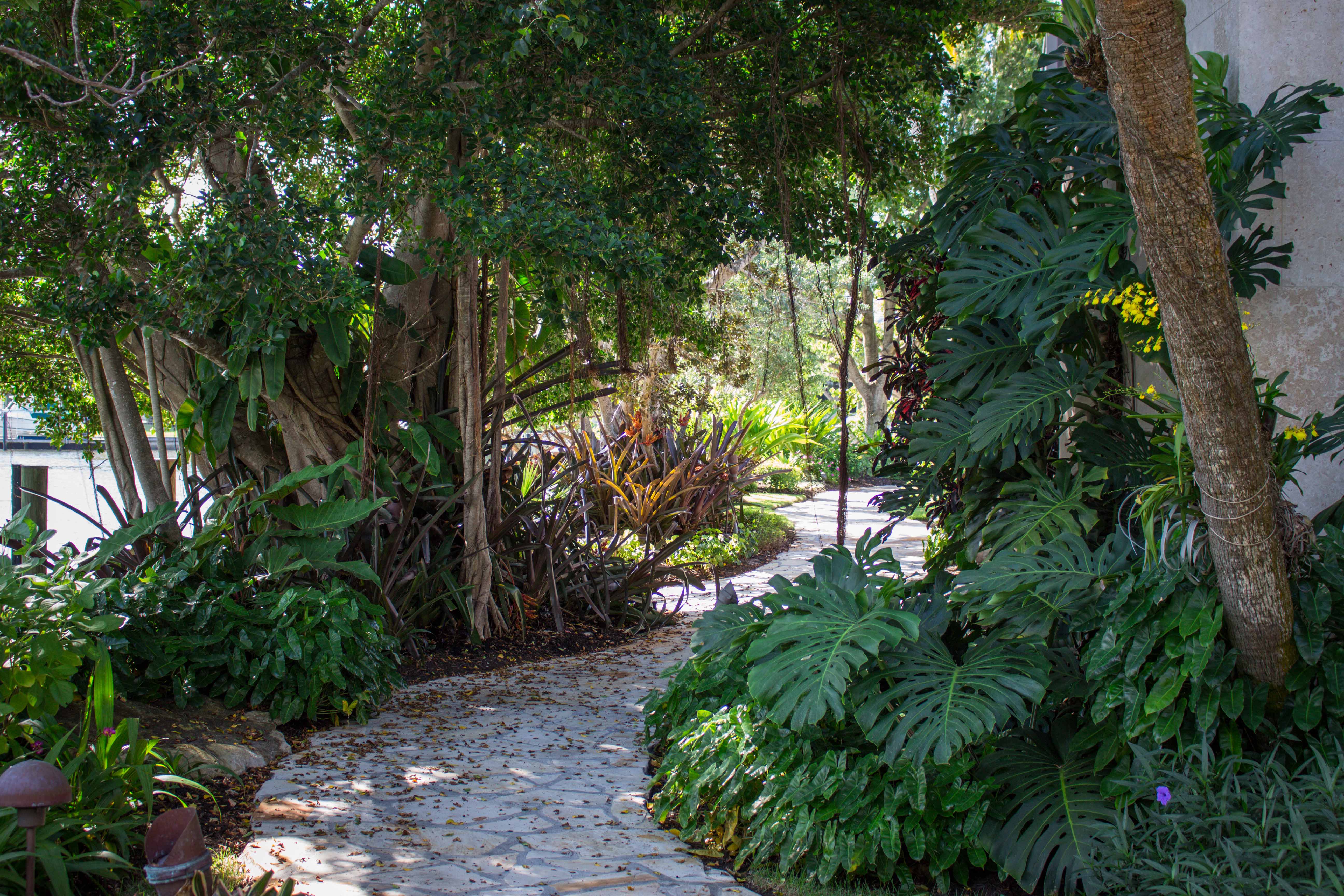 Private Local Garden Tour and Lunch with Raymond Jungles | Naples ...