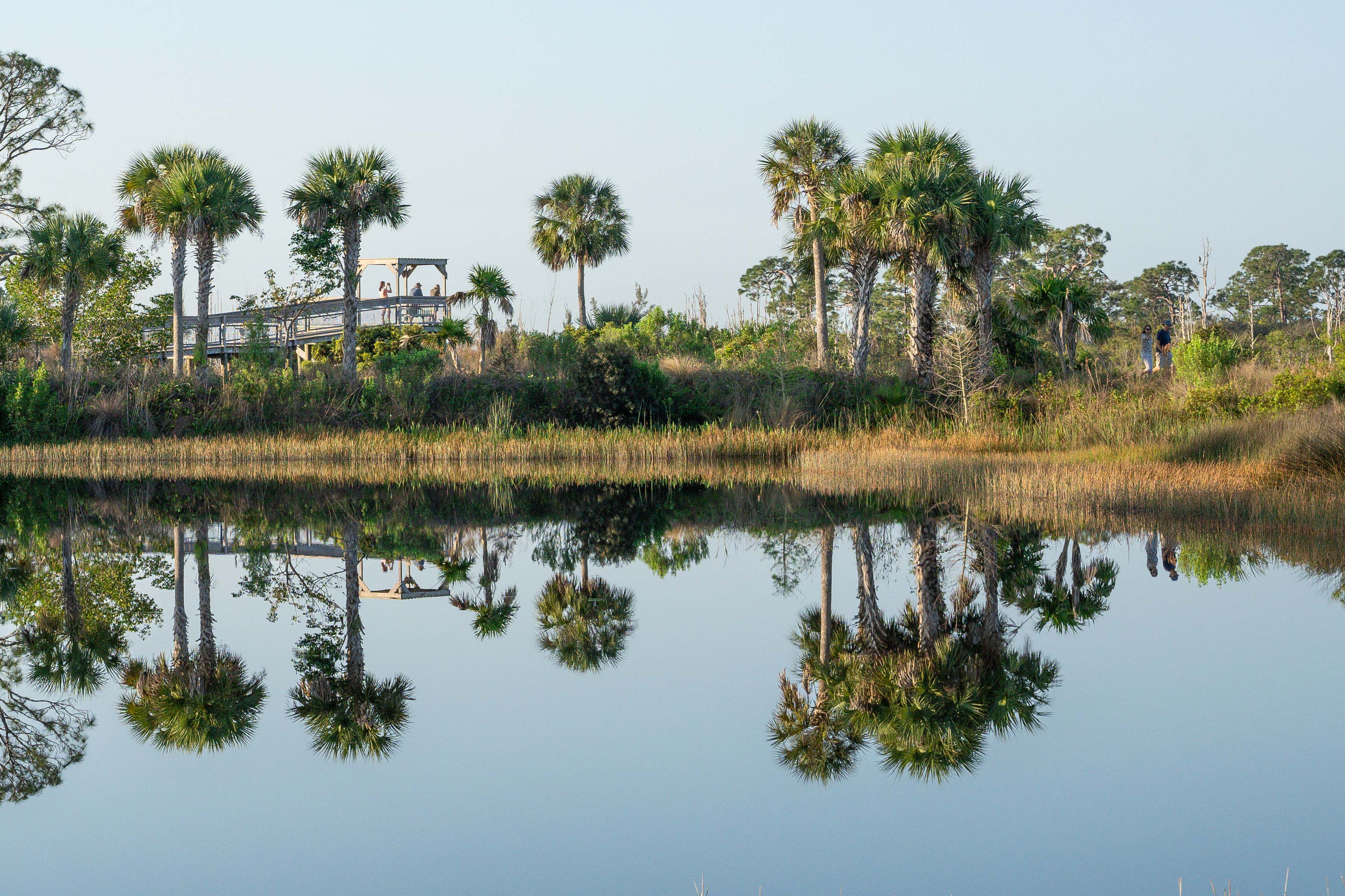 Naples Botanical Garden