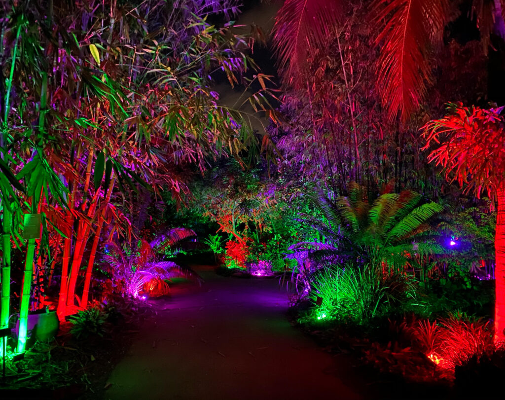 Night Lights in the Garden | Naples Botanical Garden