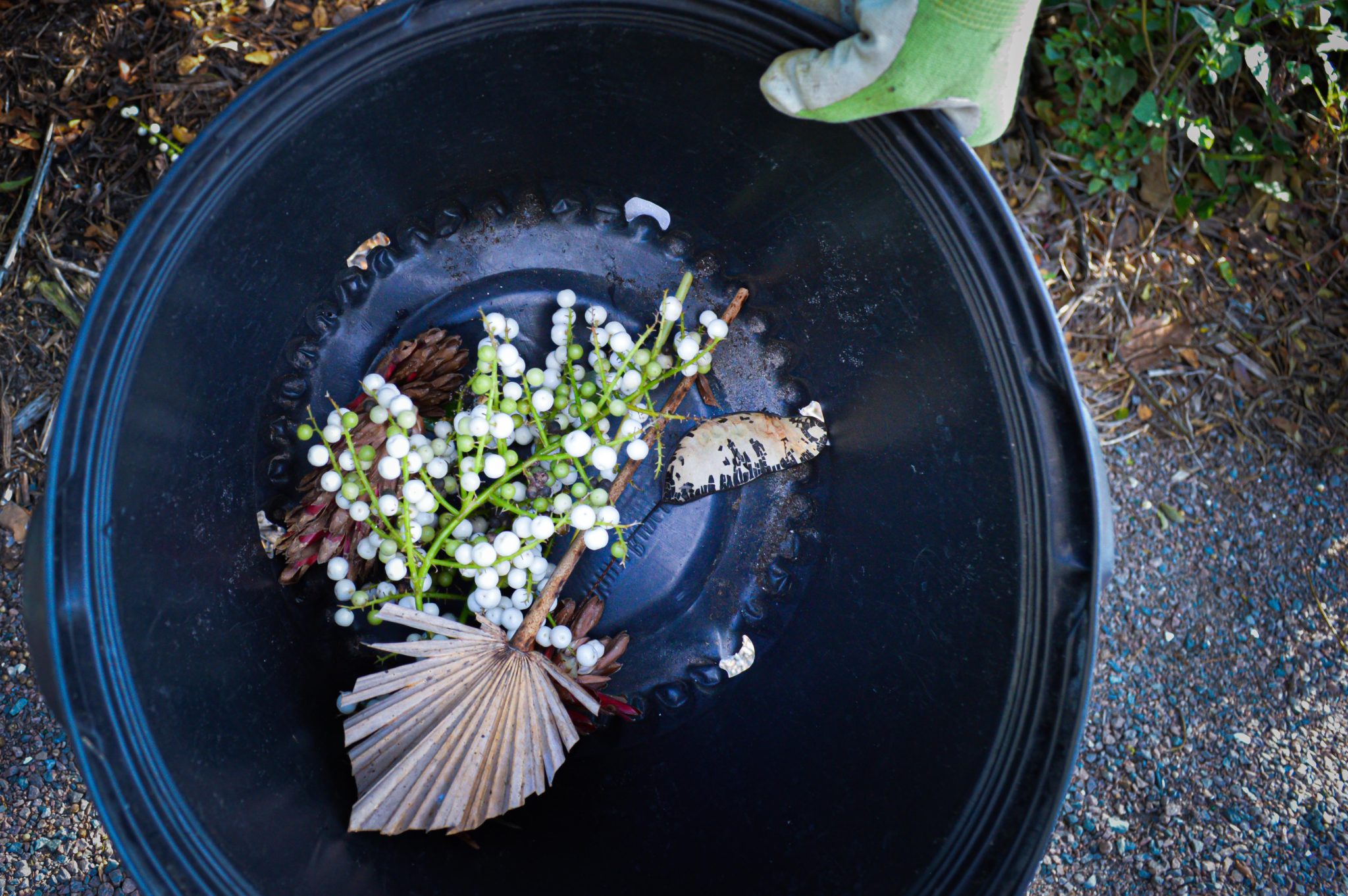 Yard waste or art Supplies? Discover how you can turn garden trimmings ...