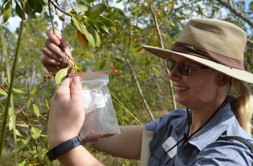 Unlocking the Secrets of Southwest Florida’s Native Plants