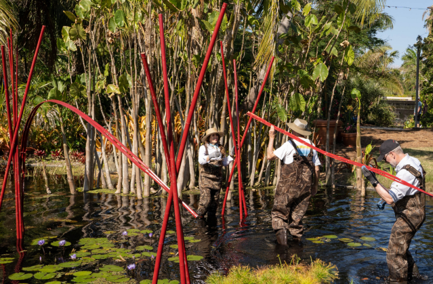 Ikebana Group Celebrates 50 Years