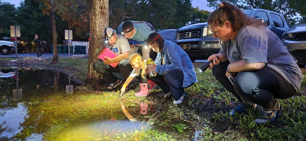 Frog Watch Wants You to Be a Citizen Scientist