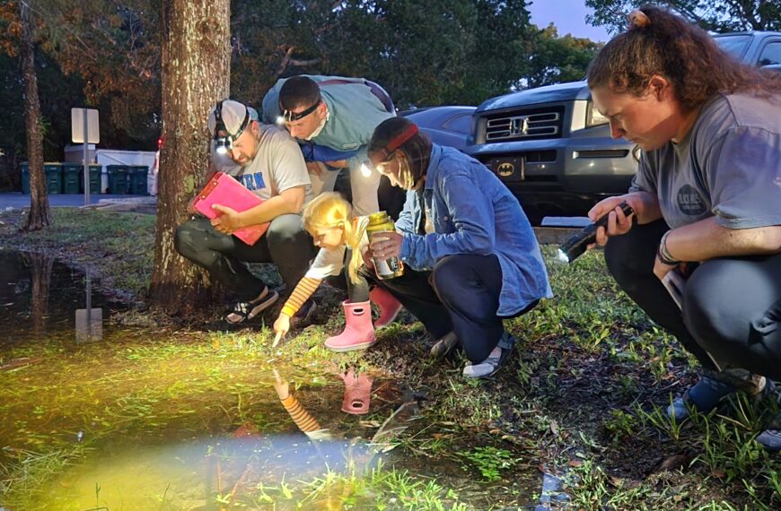 Frog Watch Wants You to Be a Citizen Scientist