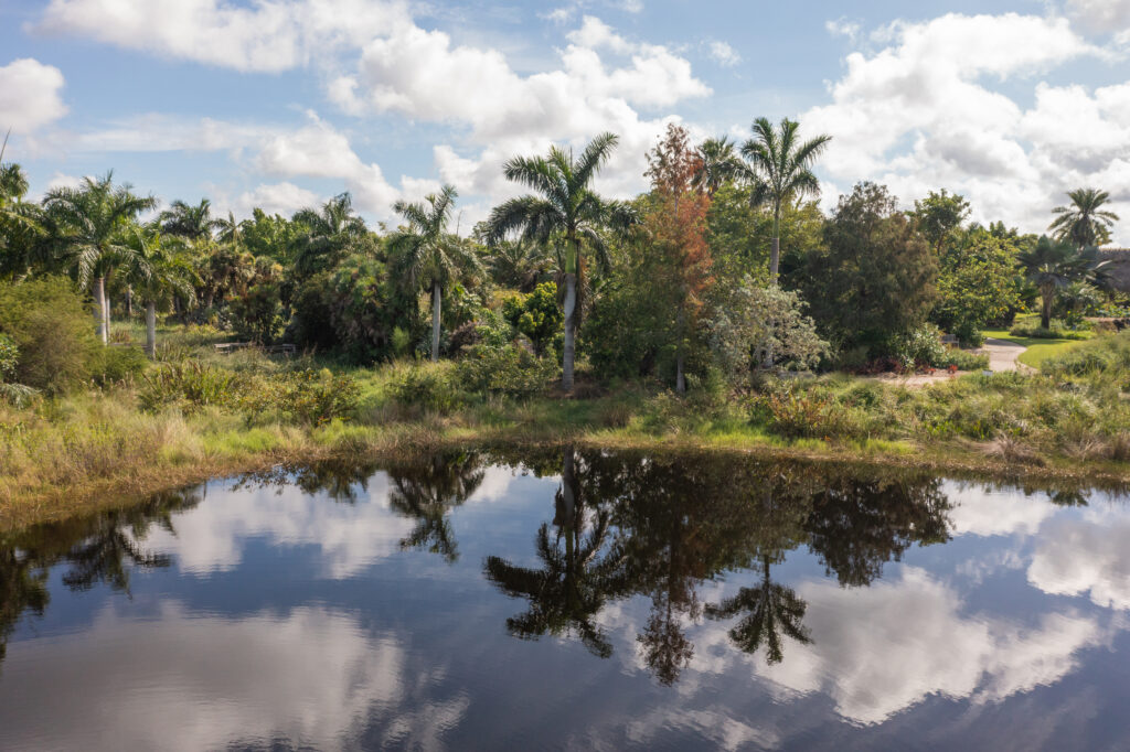 Protecting Water with Plants: A How-To Guide for SWFL Homeowners