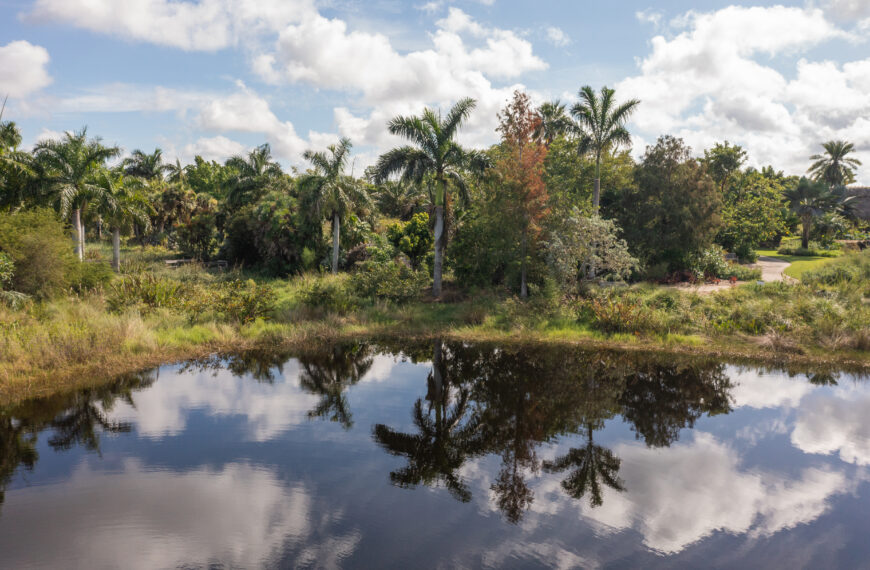 Protecting Water with Plants: A How-To Guide for SWFL Homeowners